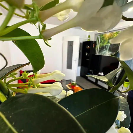 Les Dômes Du Parc 4e App T3 Et T1 Proche De Toutes Commodités Apartamento *