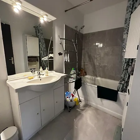 아파트 Les Domes Du Parc 4e App T3 Et T1 Proche De Toutes Commodites
