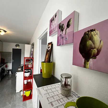 Апартаменты Les Domes Du Parc 4e App T3 Et T1 Proche De Toutes Commodites *