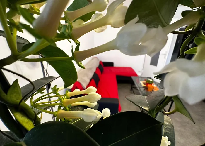 Les Dômes Du Parc 4e App T3 Et T1 Proche De Toutes Commodités Apartamento *