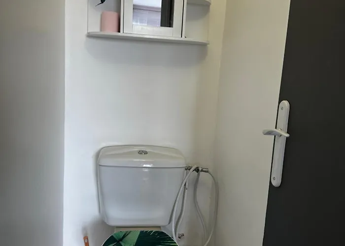 Les Dômes Du Parc 4e App T3 Et T1 Proche De Toutes Commodités Clermont-Ferrand