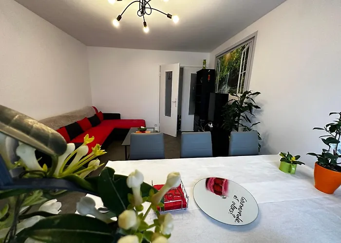 Les Domes Du Parc 4e App T3 Et T1 Proche De Toutes Commodites * クレルモン・フェラン