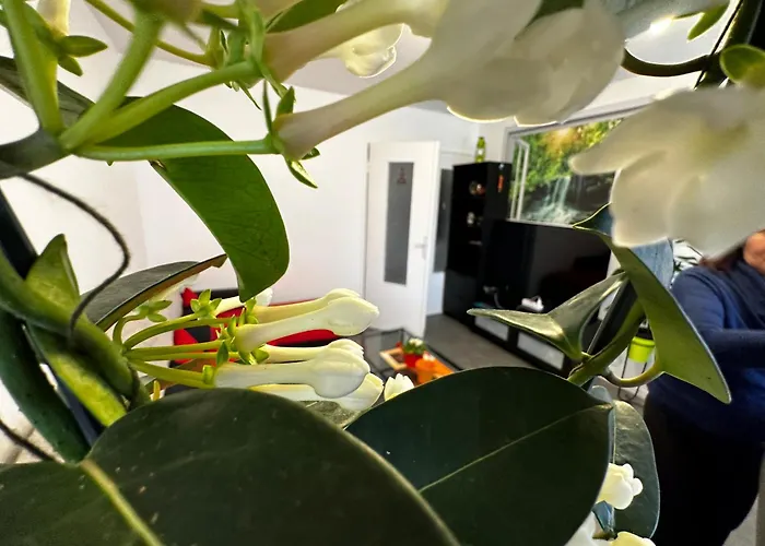 Les Dômes Du Parc 4e App T3 Et T1 Proche De Toutes Commodités Apartamento *