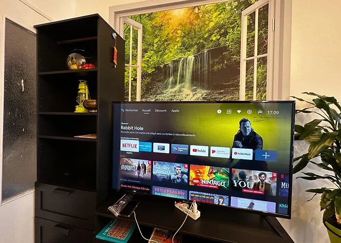 Les Domes Du Parc 4e App T3 Et T1 Proche De Toutes Commodites * クレルモン・フェラン