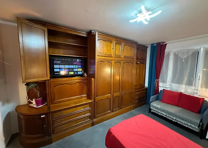 アパート Les Domes Du Parc 4e App T3 Et T1 Proche De Toutes Commodites *